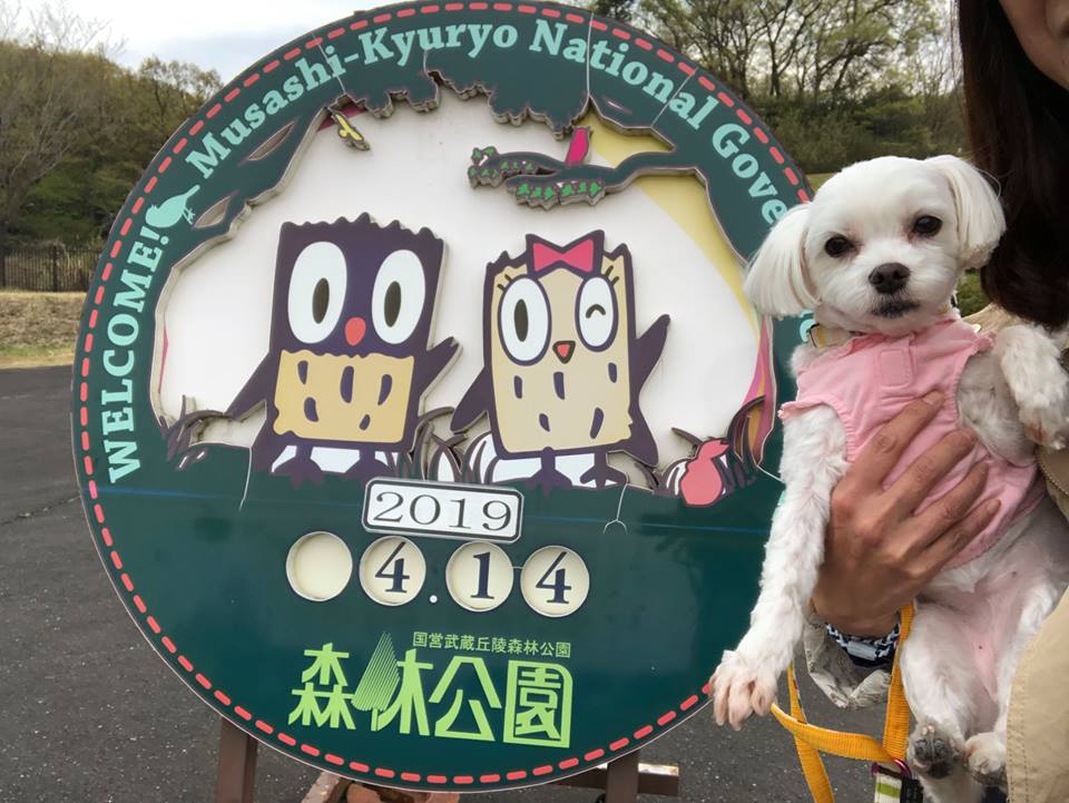 国営武蔵丘陵森林公園！全国で初めての国営公園へ愛犬とおでかけ！